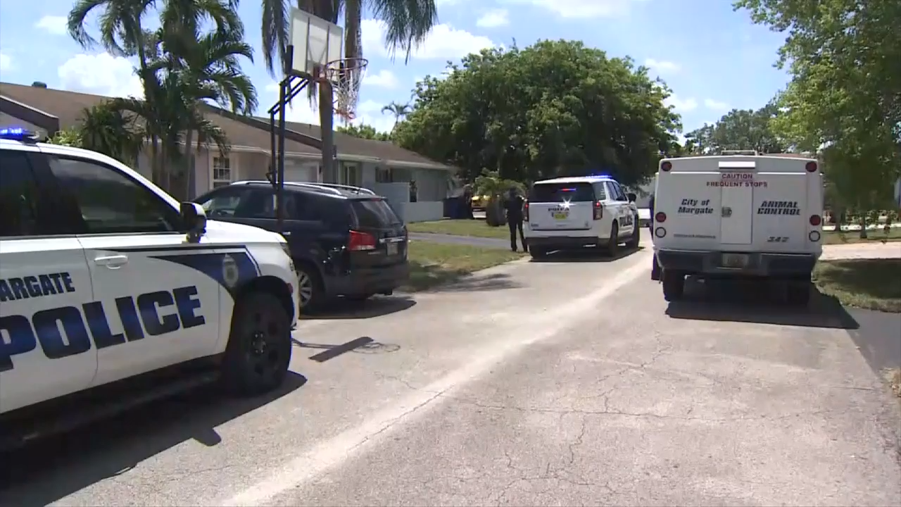 7-year-old airlifted to hospital after being attacked by 2 pit bulls at ...