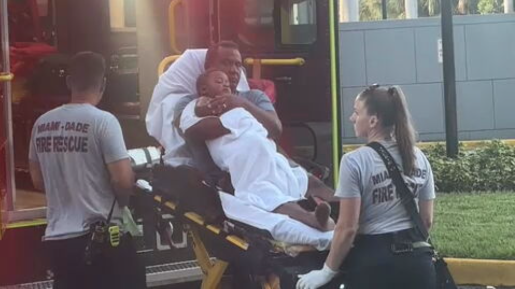 Child hospitalized after being bitten by dog in NW Miami-Dade - WSVN ...