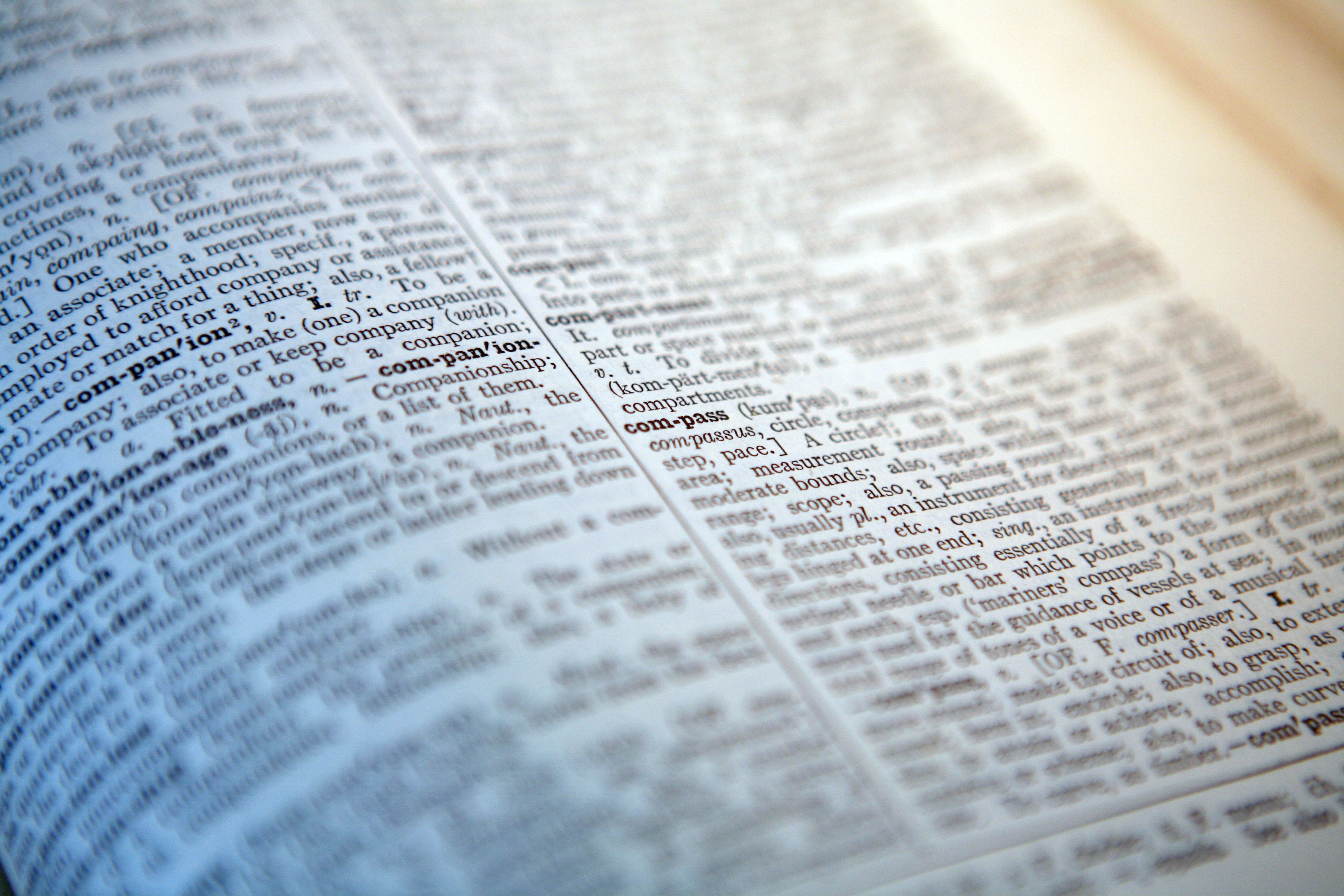 Cambridge Dictionary’s latest additions include ‘skibidi,’ ‘tradwife ...