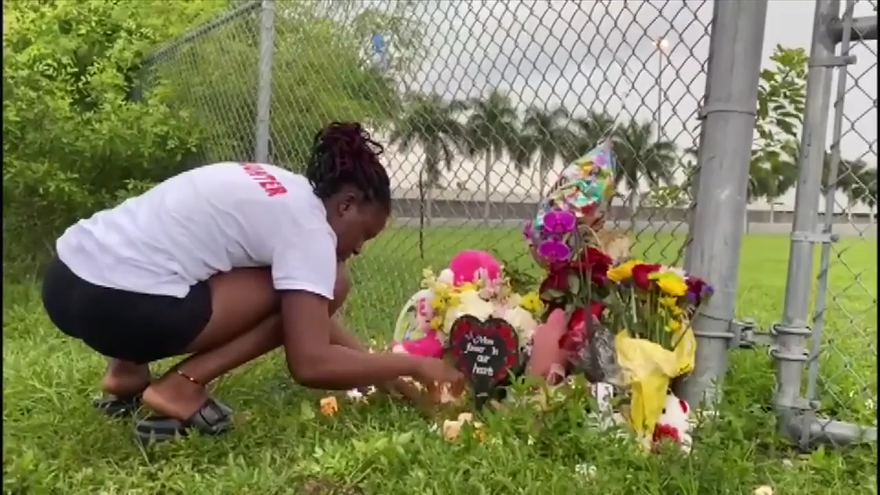 Family of Miami Gardens woman mauled by dogs holds memorial in her ...