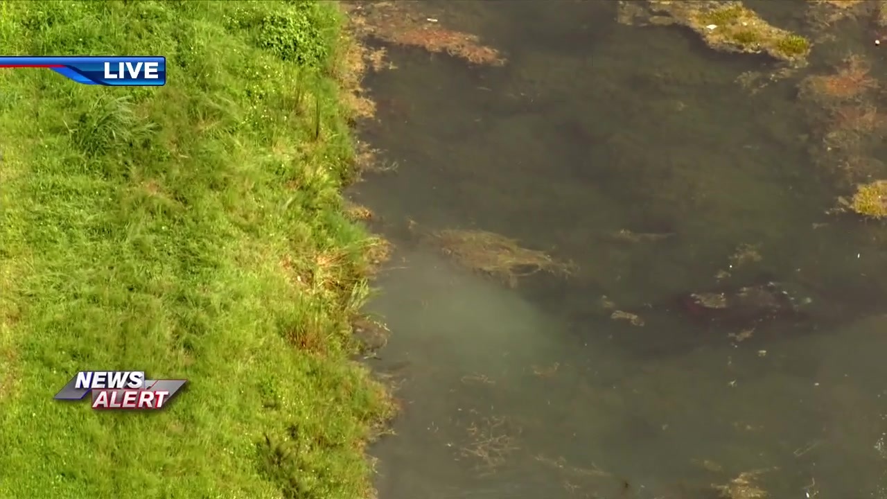 1 injured after vehicle crashes into canal in SW Miami-Dade – WSVN 7News | Miami News, Weather, Sports