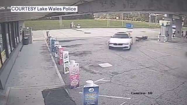 Police officer and K-9 walk away with minor injuries after being hit by ...