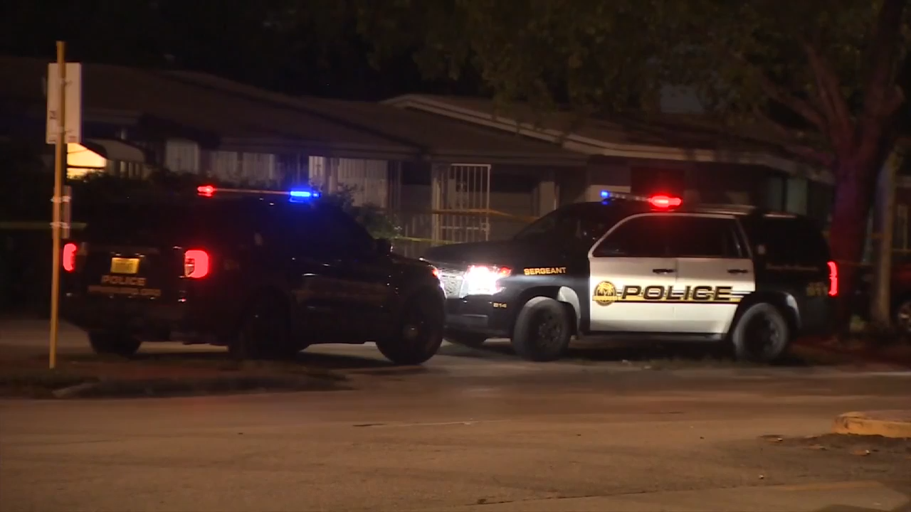 Man arrested after killing family dog in Miramar, police say - WSVN ...