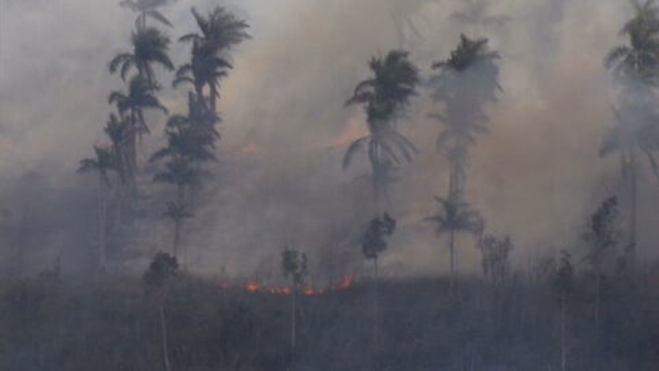 Major brush fire breaks out in West Miami-Dade - WSVN 7News | Miami ...