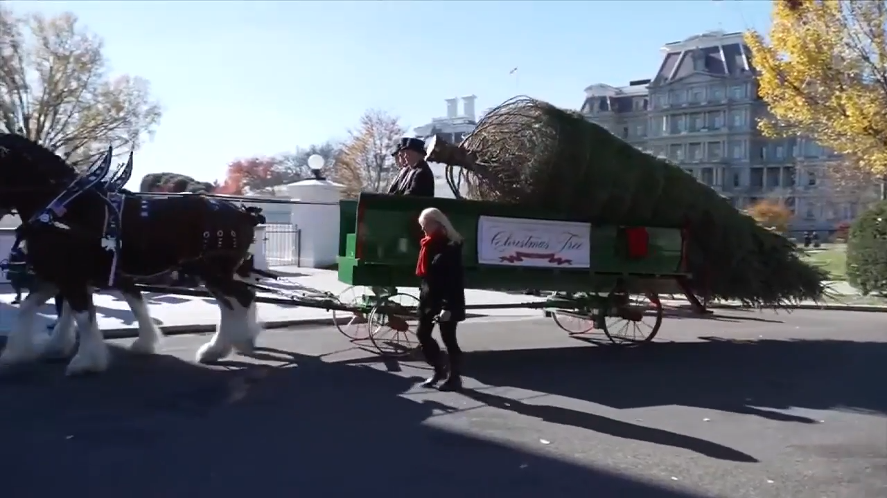 White House holiday festivities get underway despite ballroom construction
