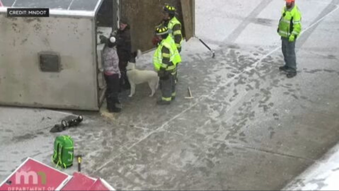 Strangers help after trailer full of sled dogs turns over on icy Minnesota highway
