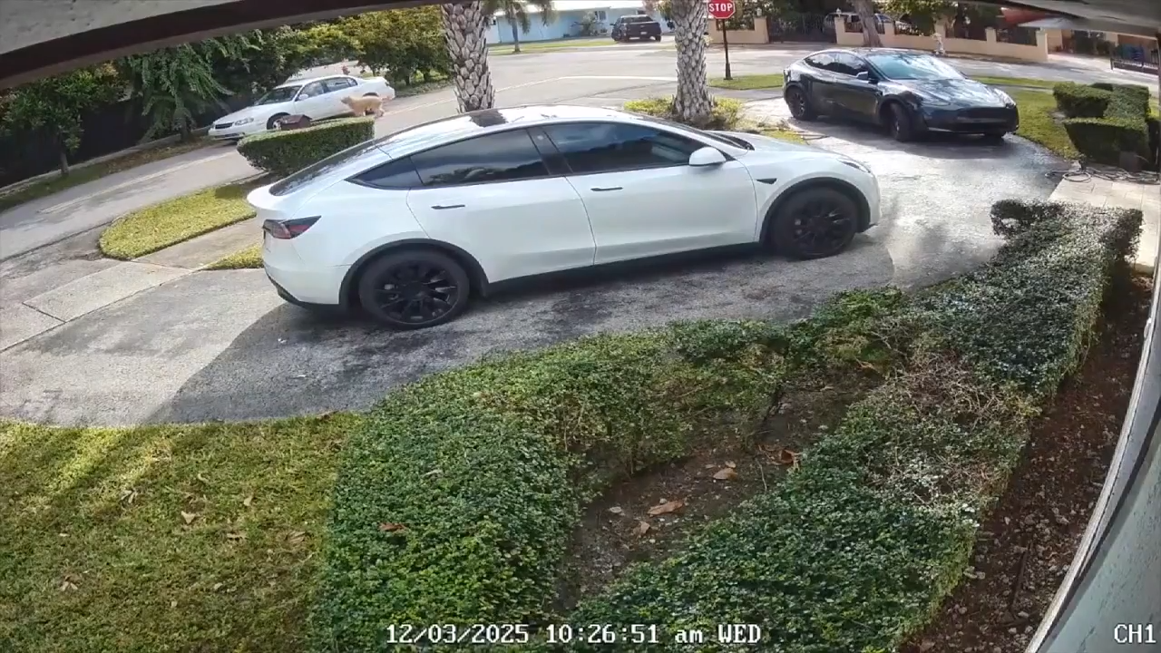 WEST MIAMI-DADE, FLA. (WSVN) - A new video captures the moment a dog was left stranded on the streets of West Miami-Dade, and witnesses say<a class="excerpt-read-more" href="https://wsvn.com/news/local/miami-dade/video-shows-dog-being-abandoned-in-streets-of-west-miami-dade-good-samaritan-takes-dog-to-groomer-ends-up-adopting-him/">Read More</a>