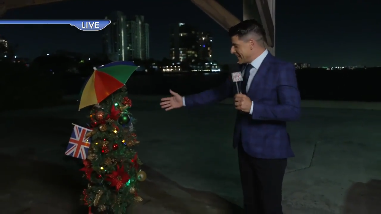 Alex Miranda lights up the Deco holiday shrub at Deco International Plaza, signaling the start of the holiday season