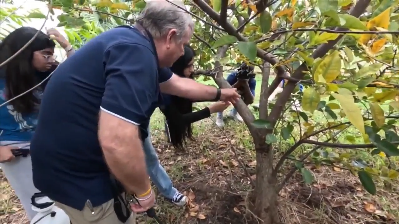 South Florida teacher helps students sow seeds to preserve rare orchid and find their passion