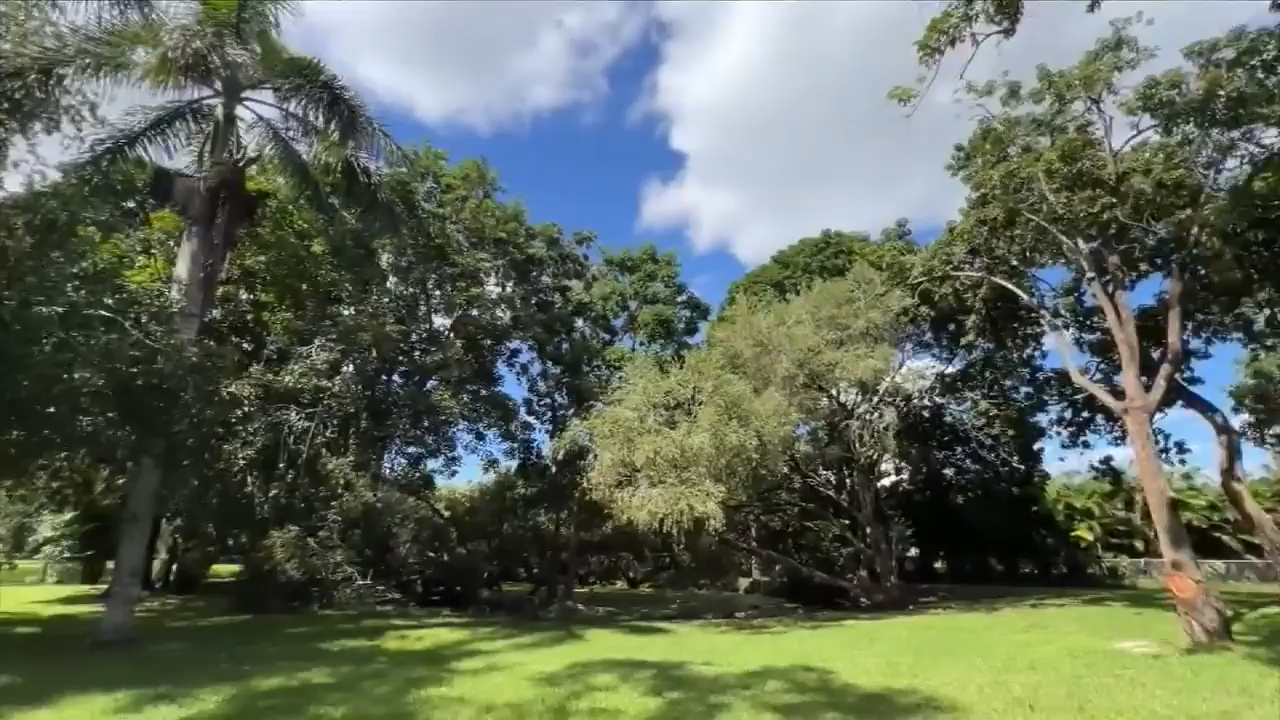 Tree trimmer won't finish job