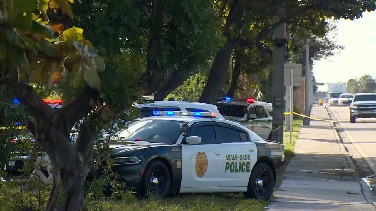 MIAMI LAKES, FLA. (WSVN) - The body of a man was pulled out from a Miami Lakes canal, with the victim’s identity unknown.The body was<a class="excerpt-read-more" href="https://wsvn.com/news/local/miami-dade/body-pulled-from-miami-lakes-canal-identity-of-man-unknown/">Read More</a>