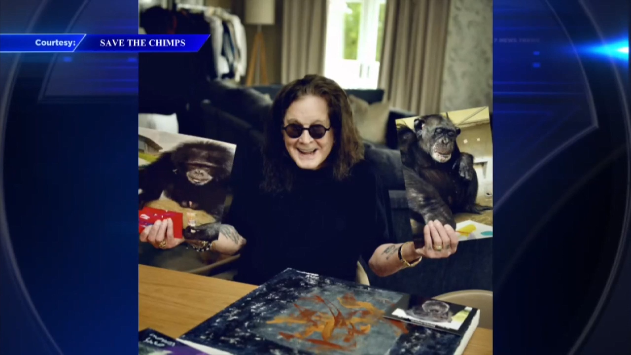 Ozzy Osbourne’s final paintings, created with Florida chimps, are on display during Miami Art Week
