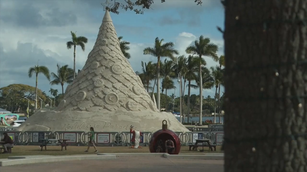 ‘Sandi’ the holiday sand tree is back for West Palm Beach’s ‘Holiday in Paradise’ celebration - WSVN 7News | Miami News, Weather, Sports | Fort Lauderdale