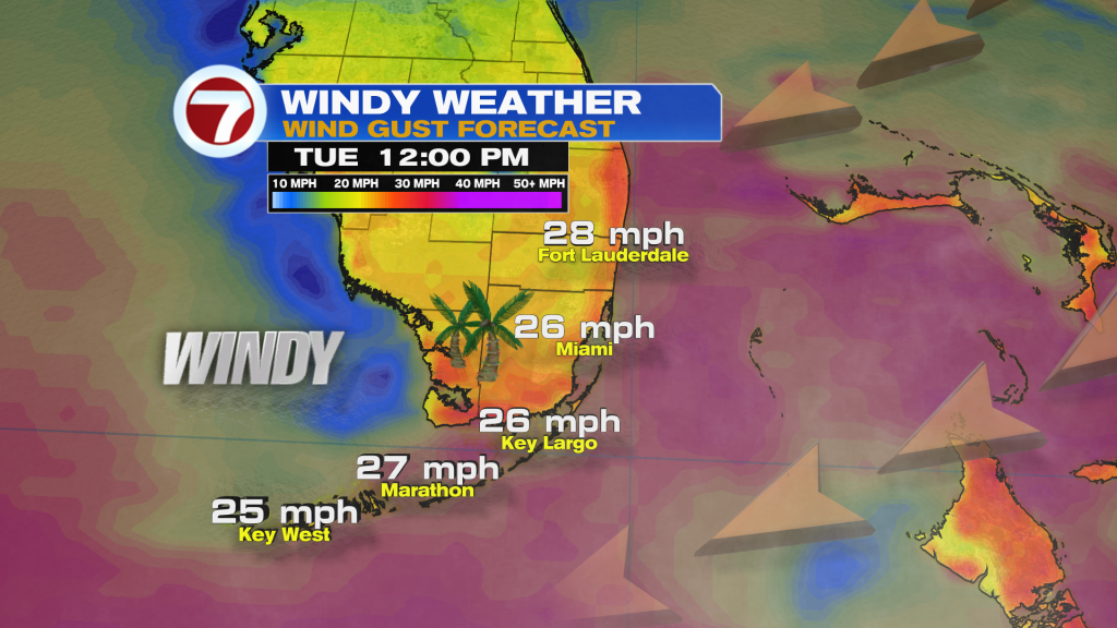 WINDY WEATHER ON THE EVE OF CHRISTMAS EVE