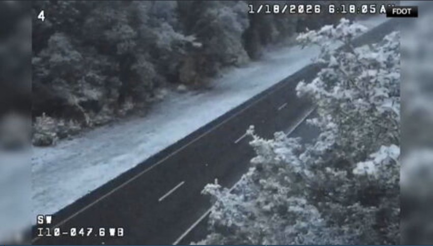 Small part of Sunshine State becomes Snowy State as Florida gets snow for 2nd year in a row