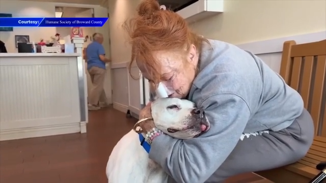 After being lost for 2 years, 11-year-old dog reunites with family after being brought to Humane Society of Broward County