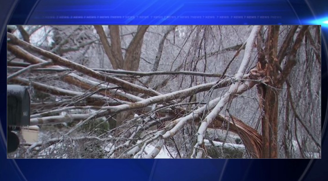 Insane doorbell camera captures ice storm devastating tree canopy as residents rally together