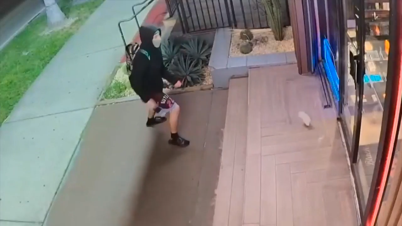 Investigation underway after surveillance video captures 2 smoke shops being burglarized by subjects in Miami