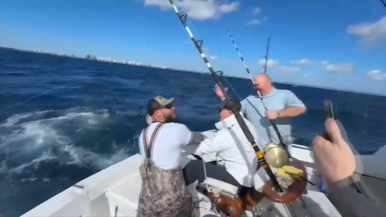 Fishermen catch ‘once in a lifetime’ great white shark on fishing trip off the coast of Fort Lauderdale