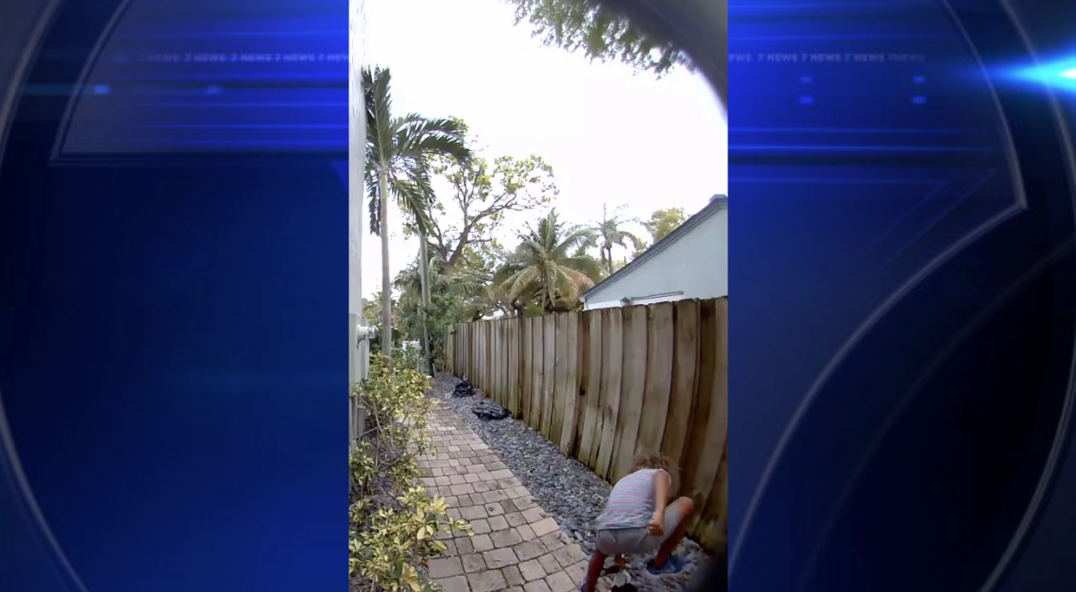 Police seek help identifying juvenile in Fort Lauderdale duck killing caught on video