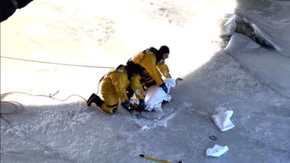 Firefighters rescue swan stuck in frozen Connecticut river - WSVN 7News ...