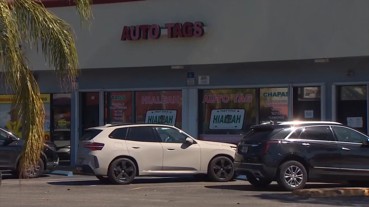 At least 2 arrested, several on the loose following fraud allegations at Hialeah tag agency