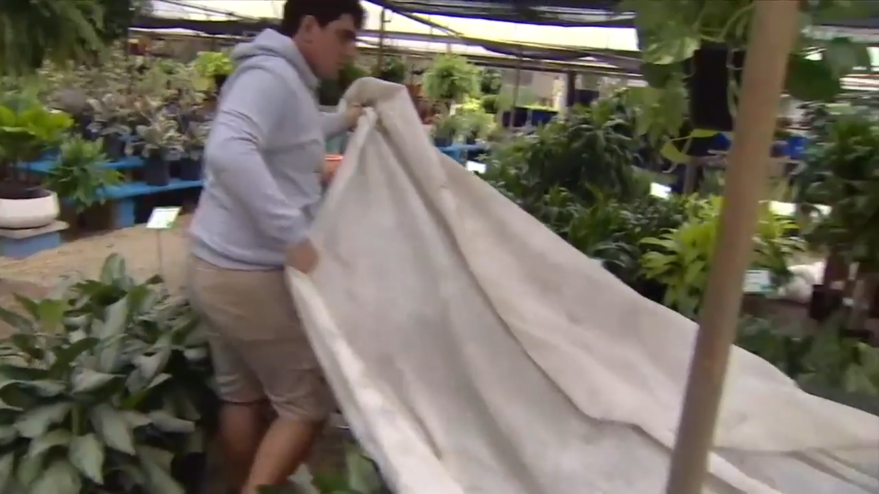 Farmers, nursery owners race to protect plants while facing low temperatures across South Florida