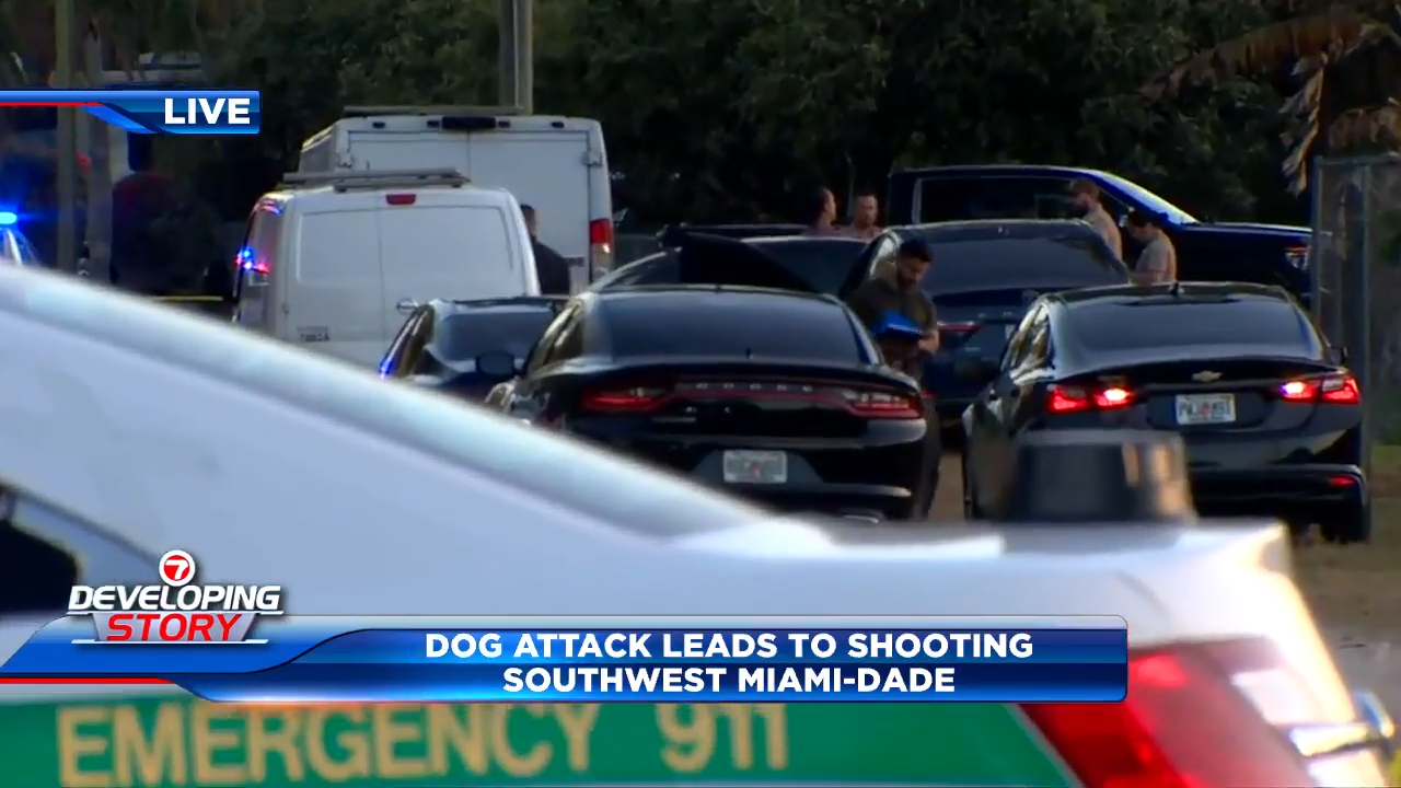 SOUTHWEST MIAMI-DADE, FLA. (WSVN) - An animal attack against a person led to two dogs being killed by deputies and the victim hospitalized in Southwest<a class="excerpt-read-more" href="https://wsvn.com/news/local/miami-dade/1-hospitalized-after-dog-bite-to-hand-in-sw-miami-dade/">Read More</a>