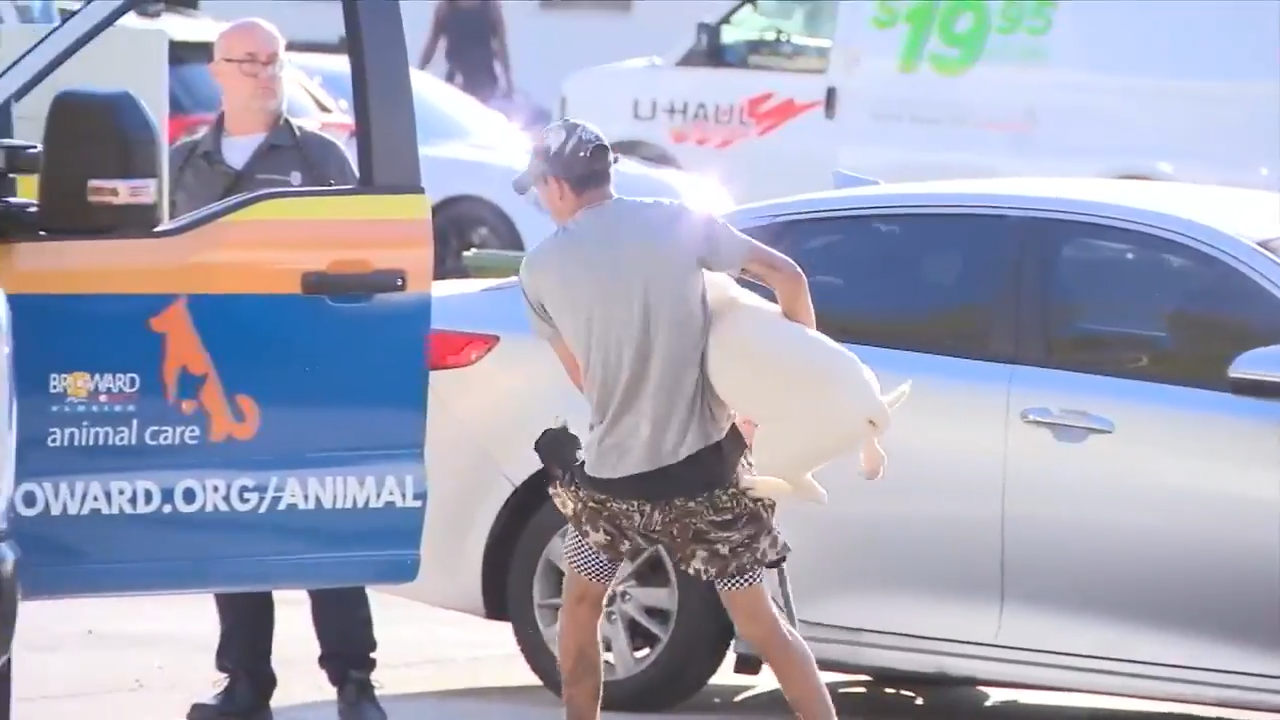 Broward County Animal Care official says dog involved in Hallandale Beach attack has been euthanized