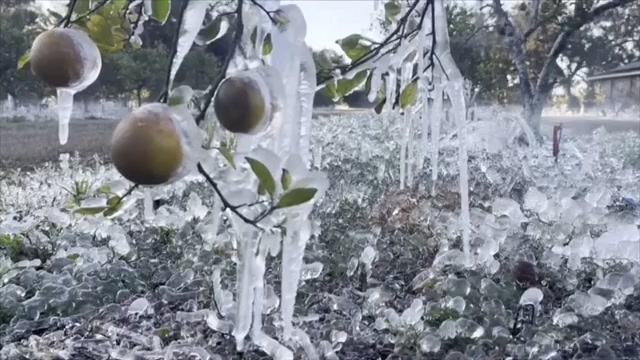 More frigid temperatures expected after weekend of heavy snow in much of US, flurries in Florida