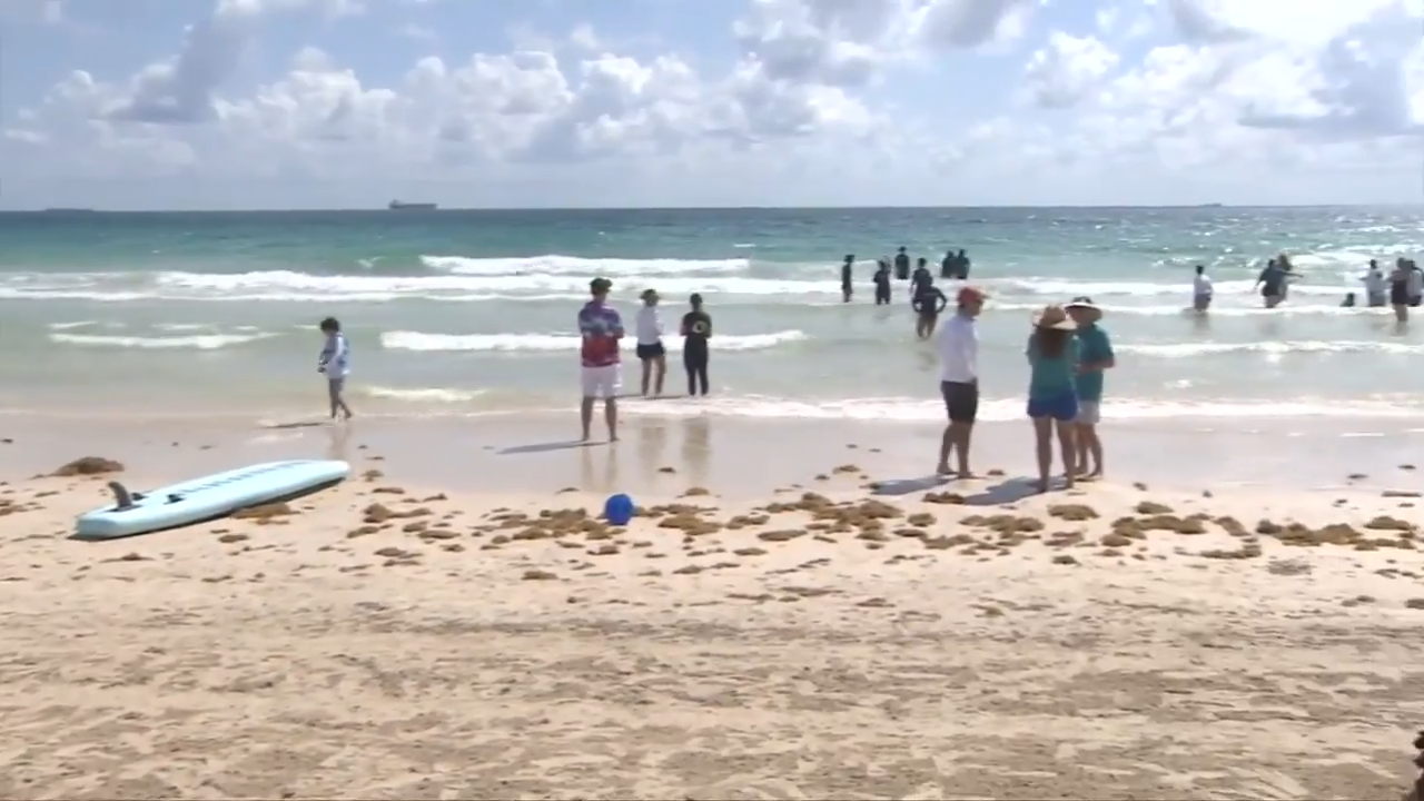 Children with autism work on swimming skills and learn surfing during joint event in Miami Beach