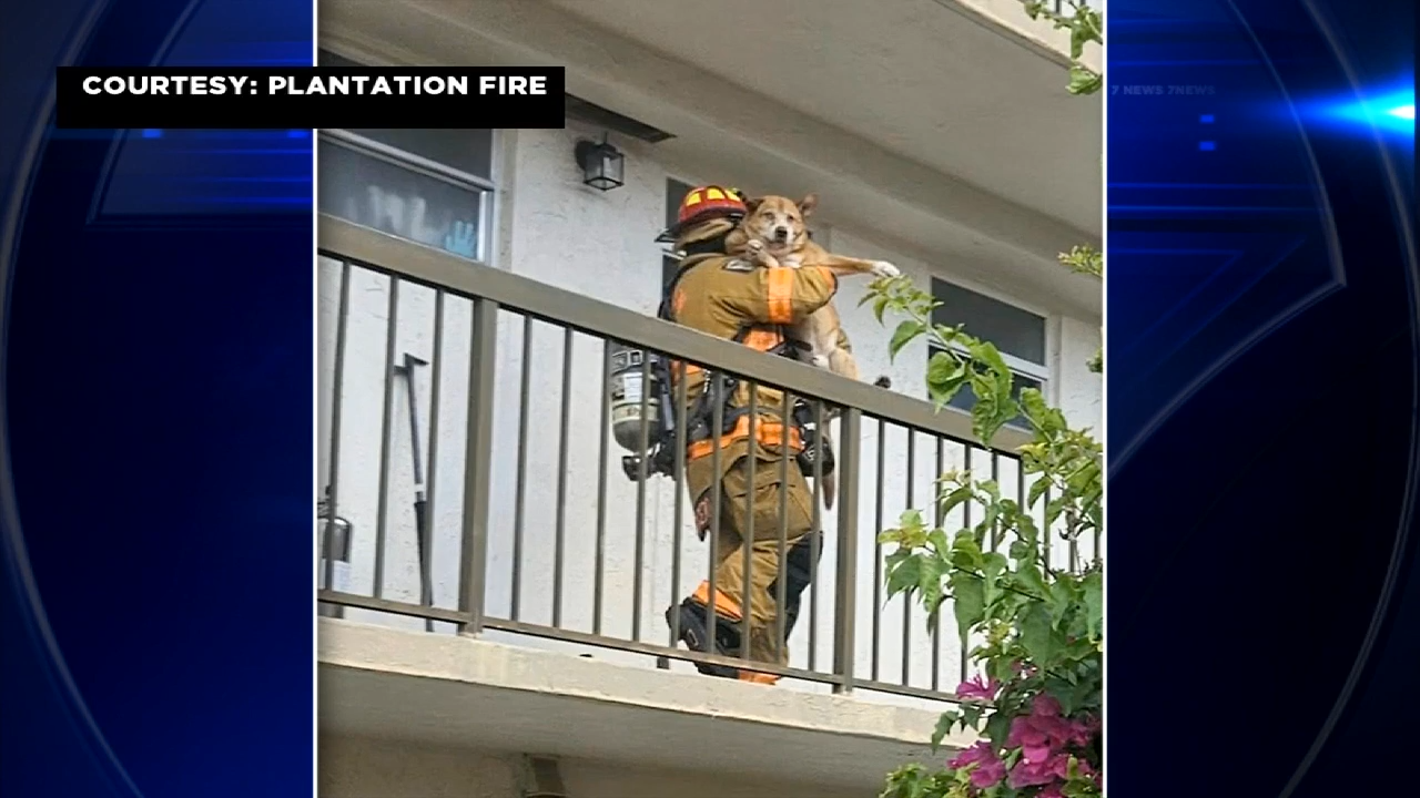 2 dogs rescued from apartment fire in Plantation