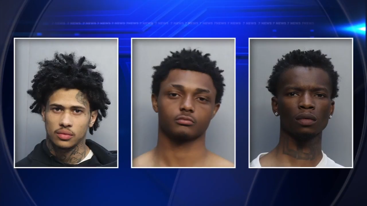 3 men arrested, charged after targeting home of reality TV star in Pinecrest, police say
