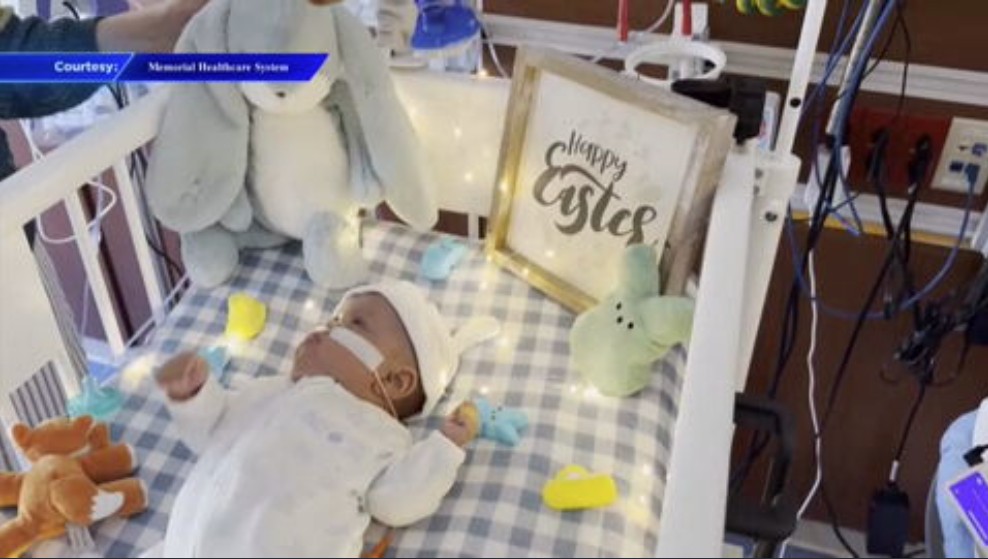 NICU patients at Joe DiMaggio Children’s Hospital celebrate first Easter