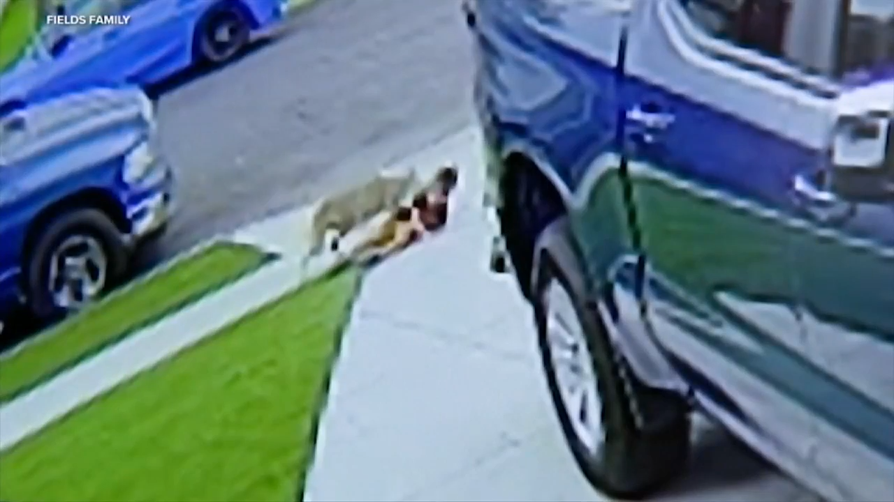 Young child is bitten by coyote twice in front of home
