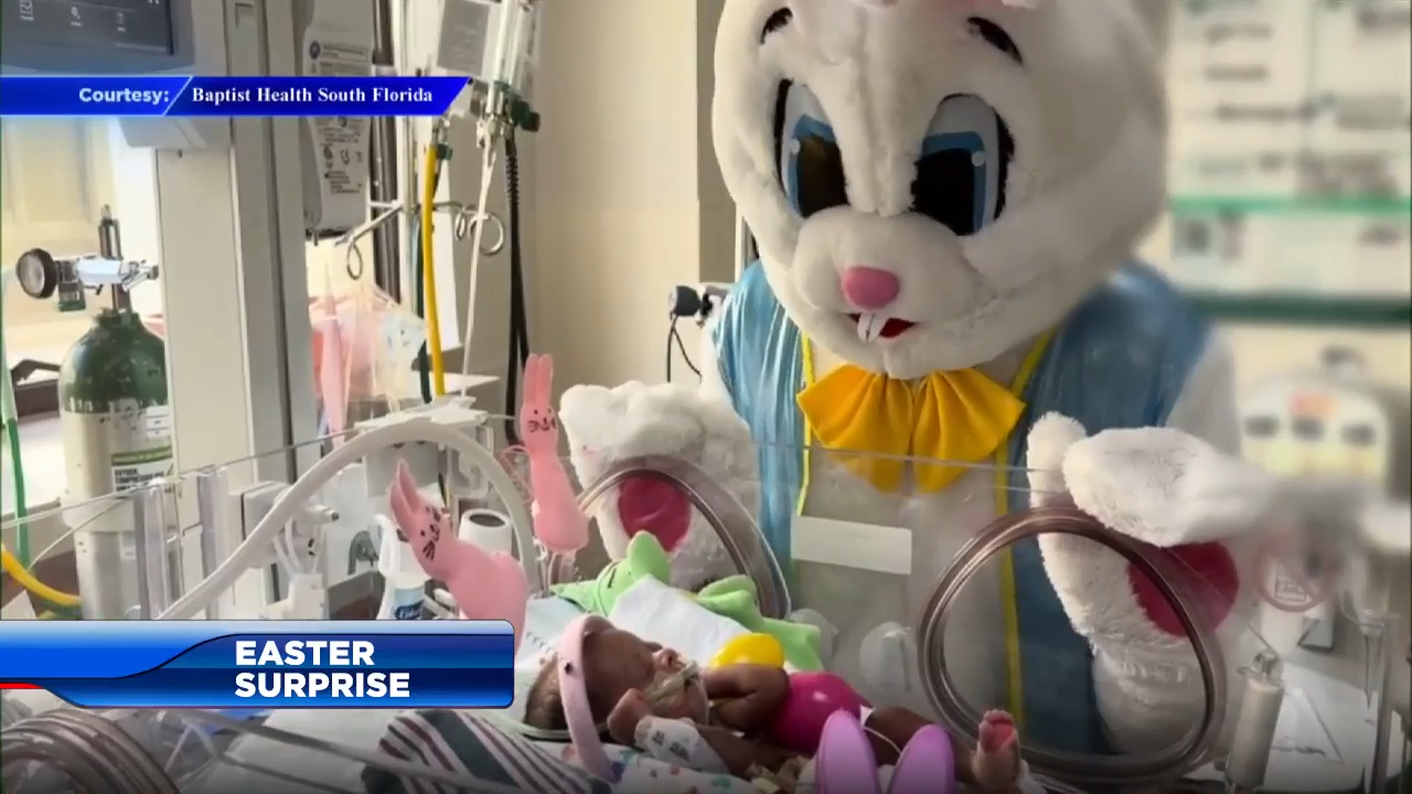 Easter bunny pays visit to newborns at Baptist Health South Miami Hospital