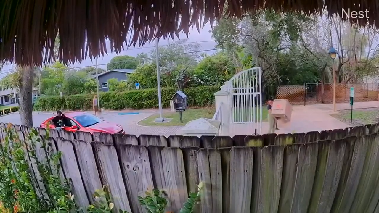 Investigators probe video showing woman allegedly dumping kittens in Wilton Manors park