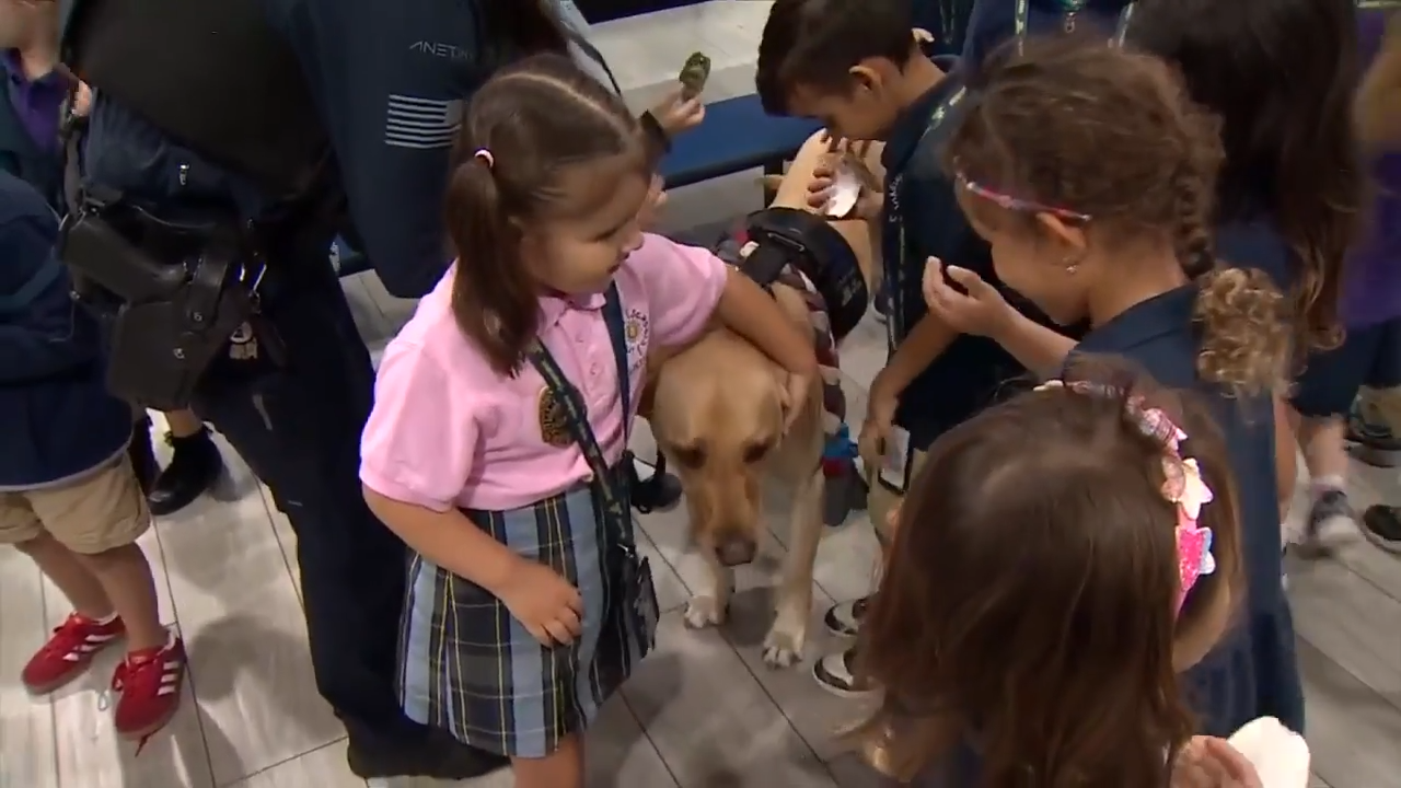 Broward students present check to nonprofit that uses therapy dogs to assist community
