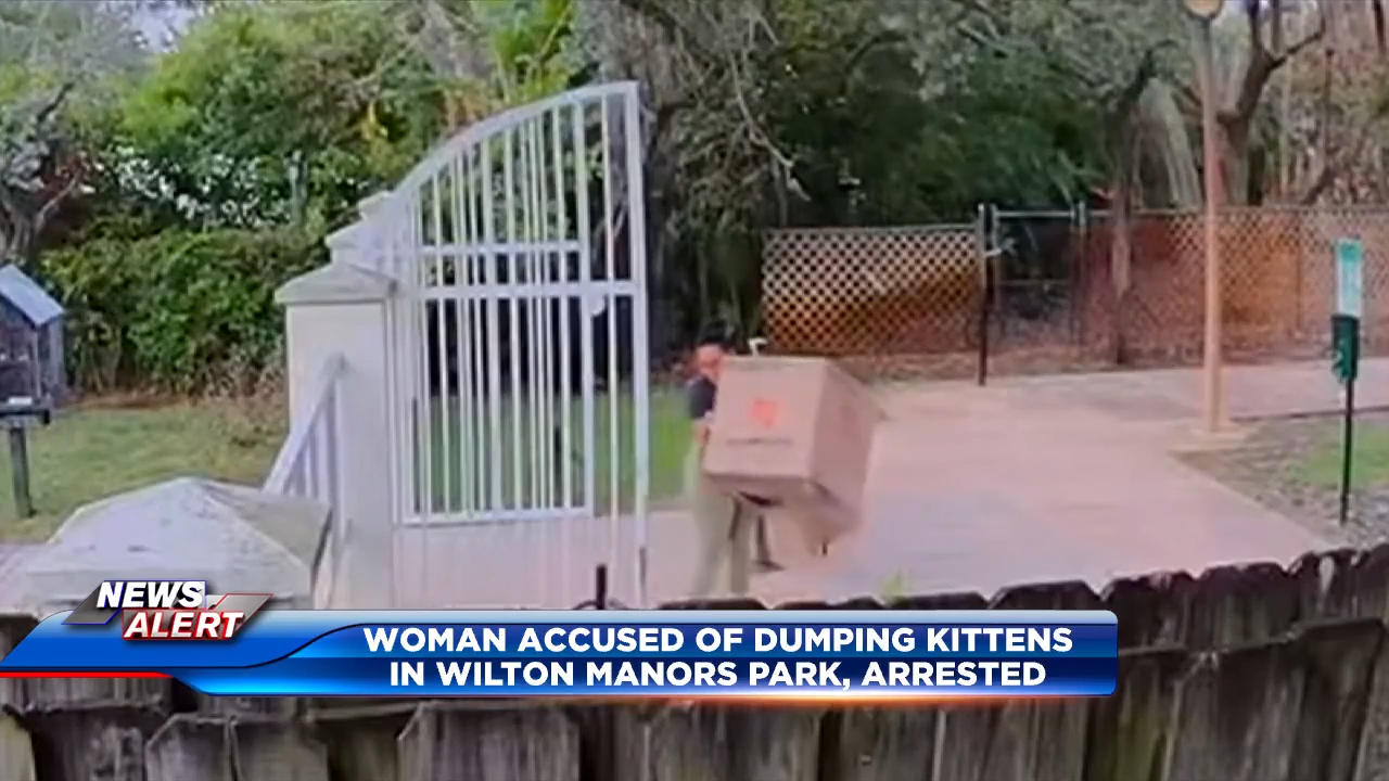 Woman arrested after being seen on video dumping kittens from box outside Wilton Manors park
