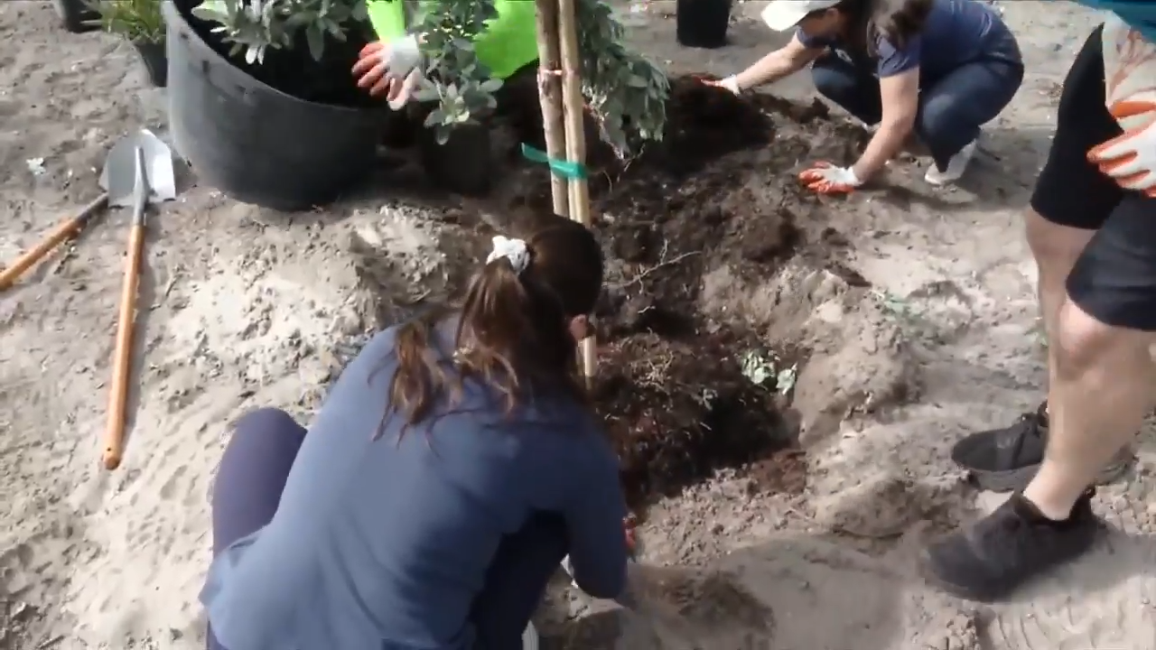 FIFA, Arbor Day Foundation, DERM host community tree planting event in Miami Gardens