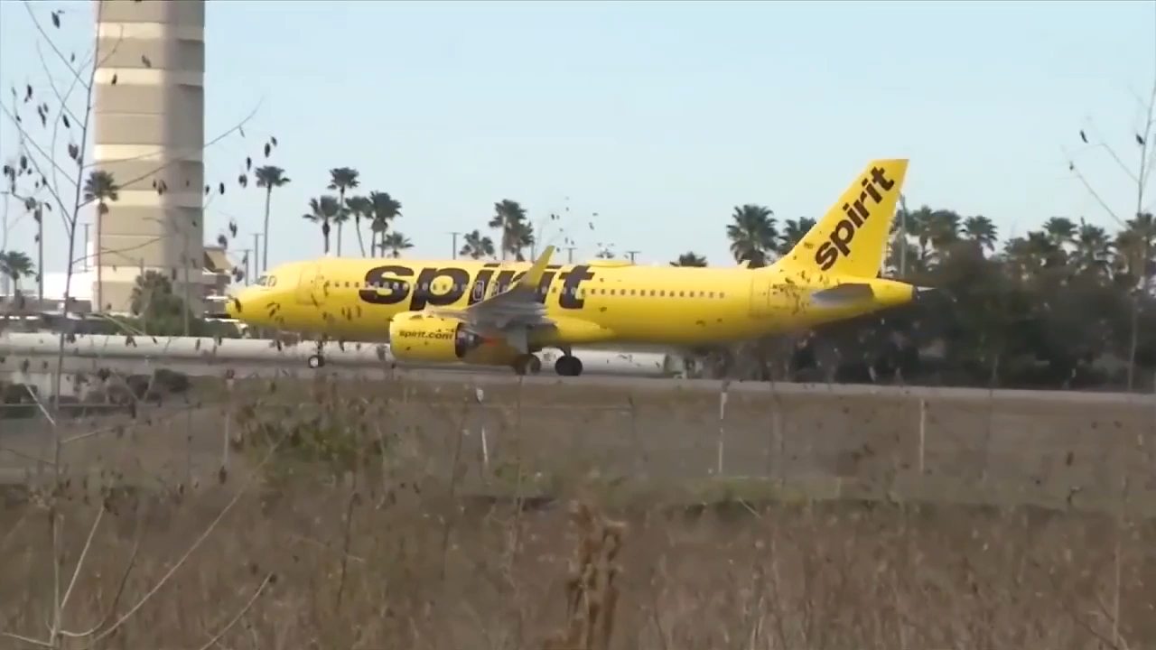 Reports: South Florida-based Spirit Airlines facing potential liquidation