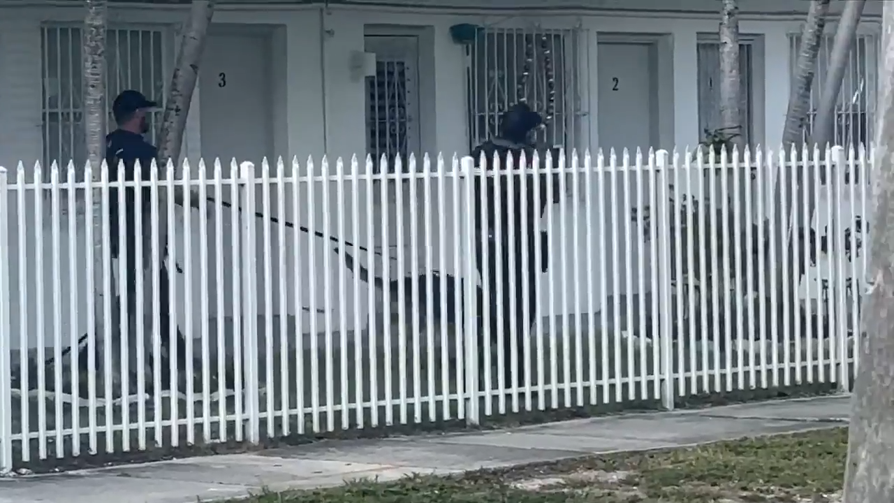 Miami Police search for armed robber who stole watch during sale