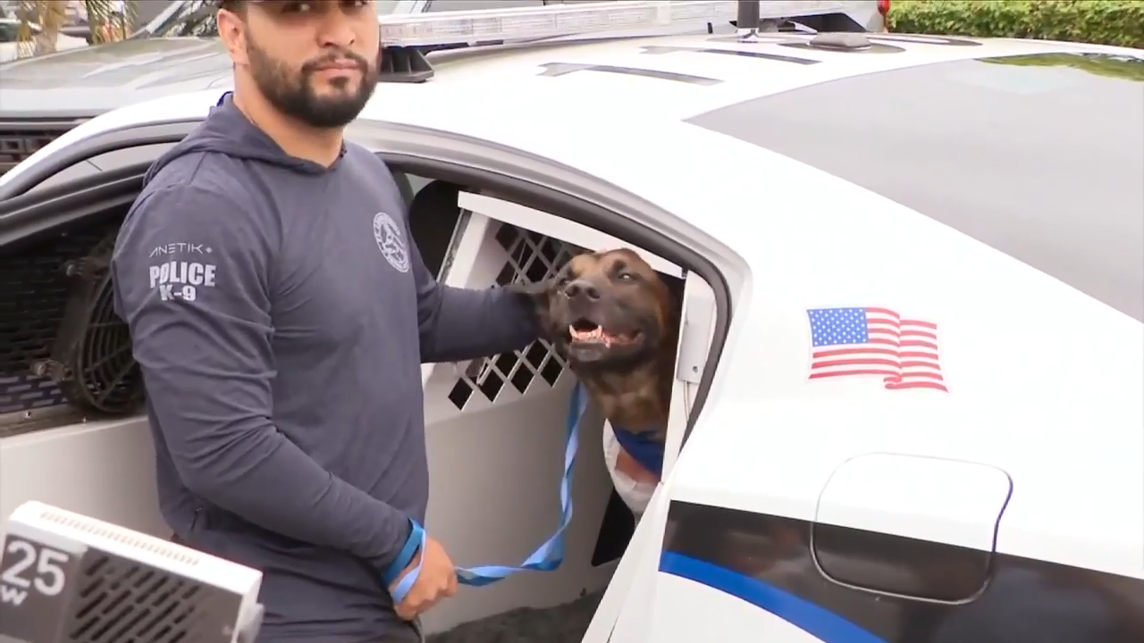 FLPD K-9 released from hospital after successful surgery following on-the-job shooting