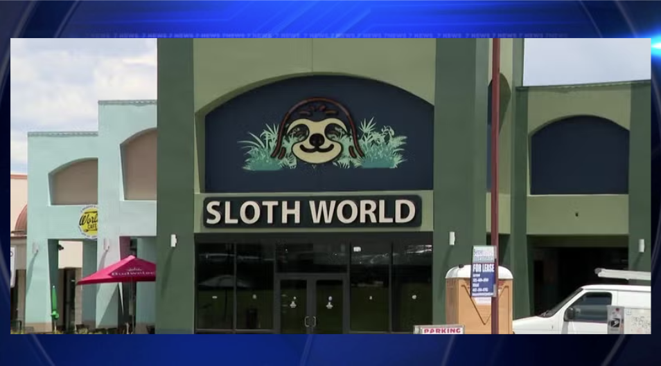 FWC investigation finds dozens of sloths died before Orlando attraction opening