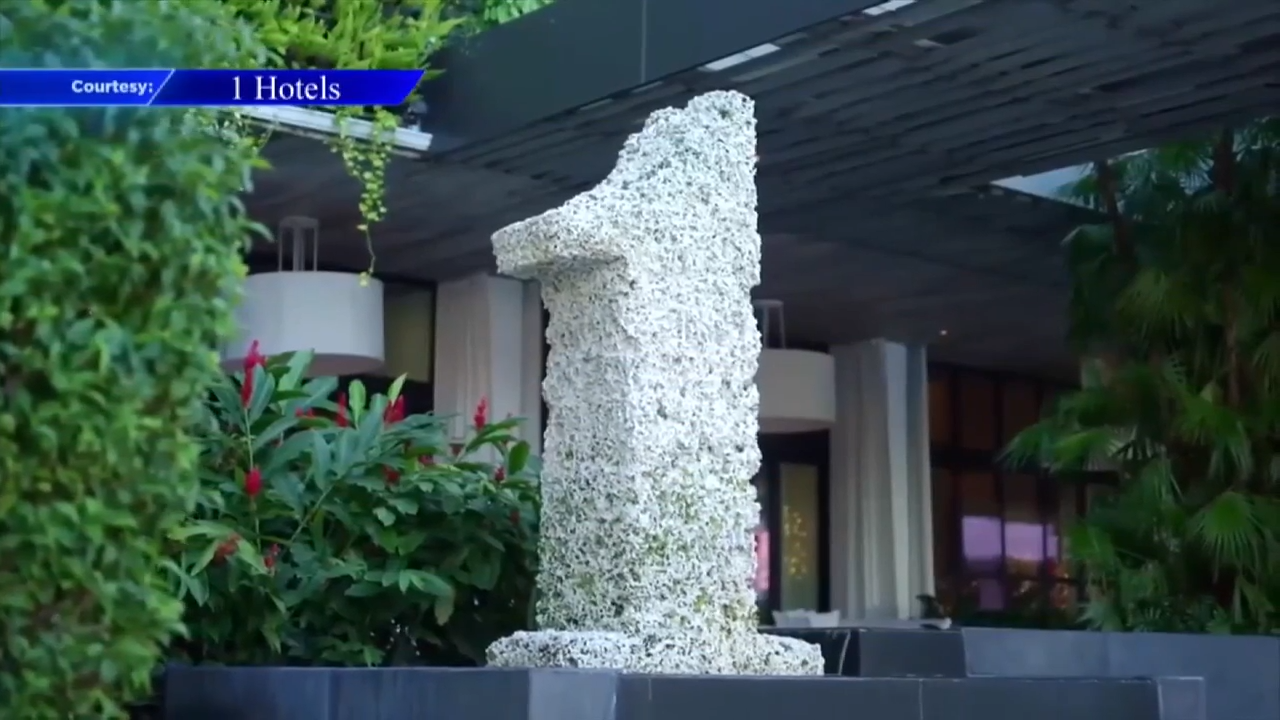 Miami Beach hotels offering special packages for 2026 FIFA World Cup – WSVN 7News | Miami News, Weather, Sports | Fort Lauderdale