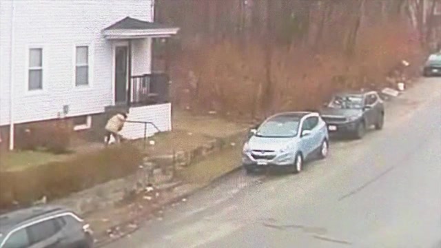 Video shows fox attacking woman in Massachusetts