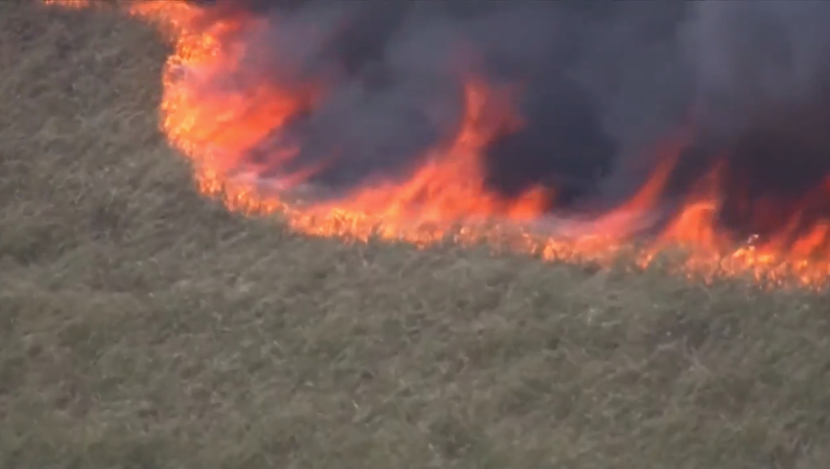 West Broward brush fire 50% contained as firefight enters 2nd day; over 6,500 acres burned