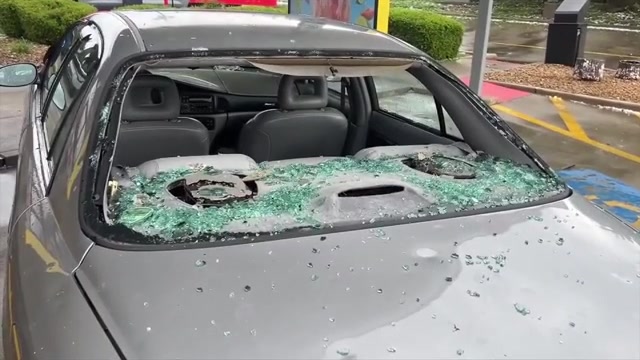 Hailstorm kills emu at Missouri zoo, cancels flights and damages hundreds of vehicles