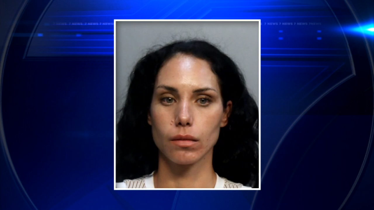 1 arrested, 2 in stable condition after shooting in Homestead - WSVN ...