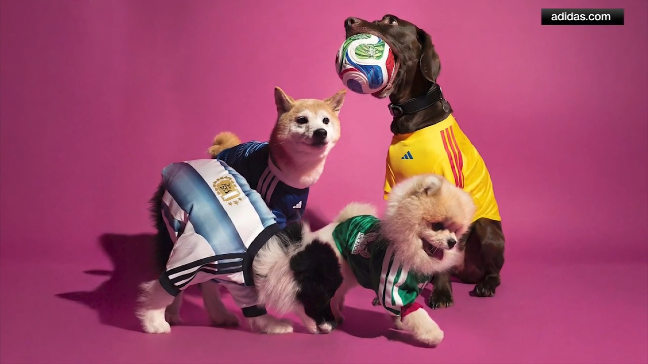 Adidas debuts FIFA World Cup game day jerseys for pets